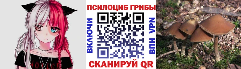 Галлюциногенные грибы MAGIC MUSHROOMS  Купить закладки  Далматово 